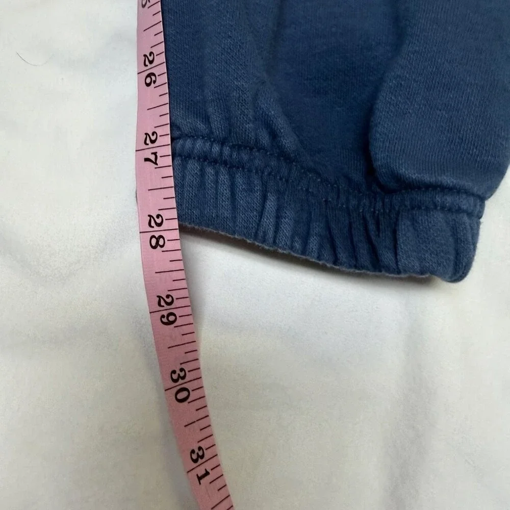 The North Face Half Dome Sweatpants Men's Small Blue‎ EUC